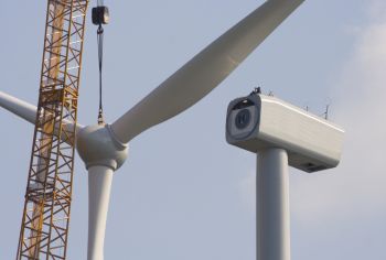 setting blades